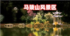 撸逼网